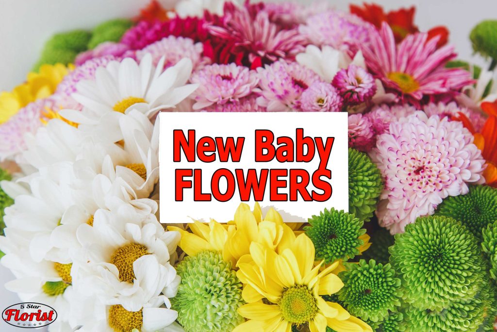 new baby flowers Lancaster